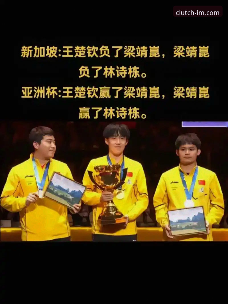 林诗栋横扫vs梁靖崑险胜：中国男乒小组赛表现对比，IM电竞平台观赛全解析